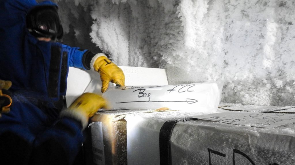 Analyses of ancient Antarctic ice (samples in bag in cold storage) suggest sudden pulses of carbon dioxide entering the atmosphere have affected Earth’s climate during all phases of recent ice ages.