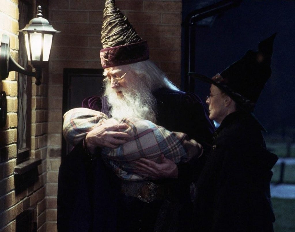 Dumbledore delivers baby harry