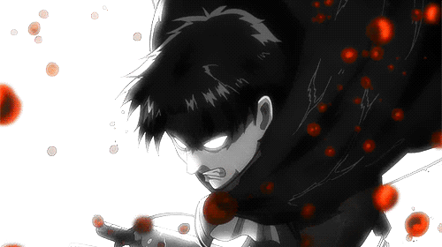 levi vs aber