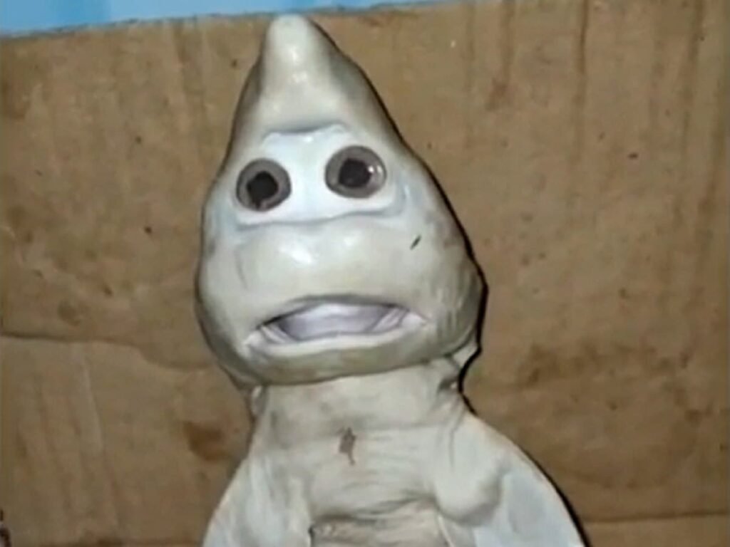 Fisherman caught Mutant Baby Shark