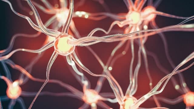 Artifical Neuron
