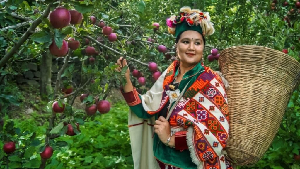 Apple in Himachal Pradesh