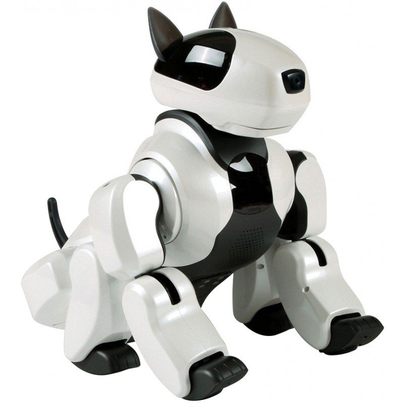 Will Pet-Bots replace actual animals?